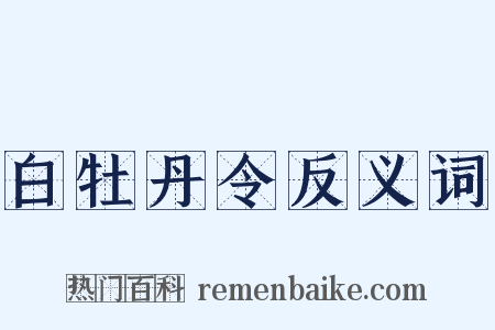 白牡丹令反义词是什么意思的图片